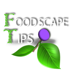 Foodscape Logo Square