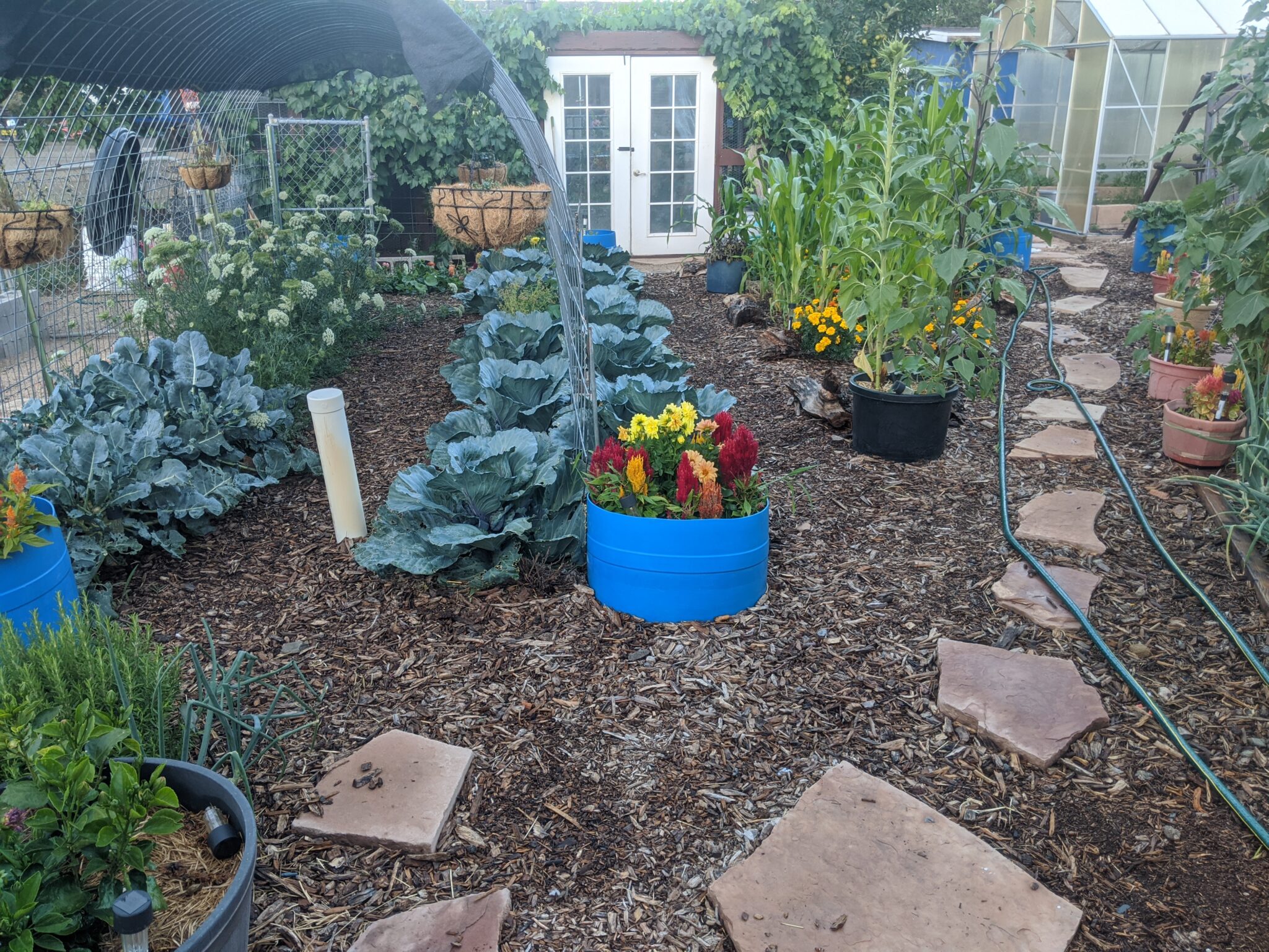 How To Set Up A Back To Eden Garden In Northern Arizona Foodscape