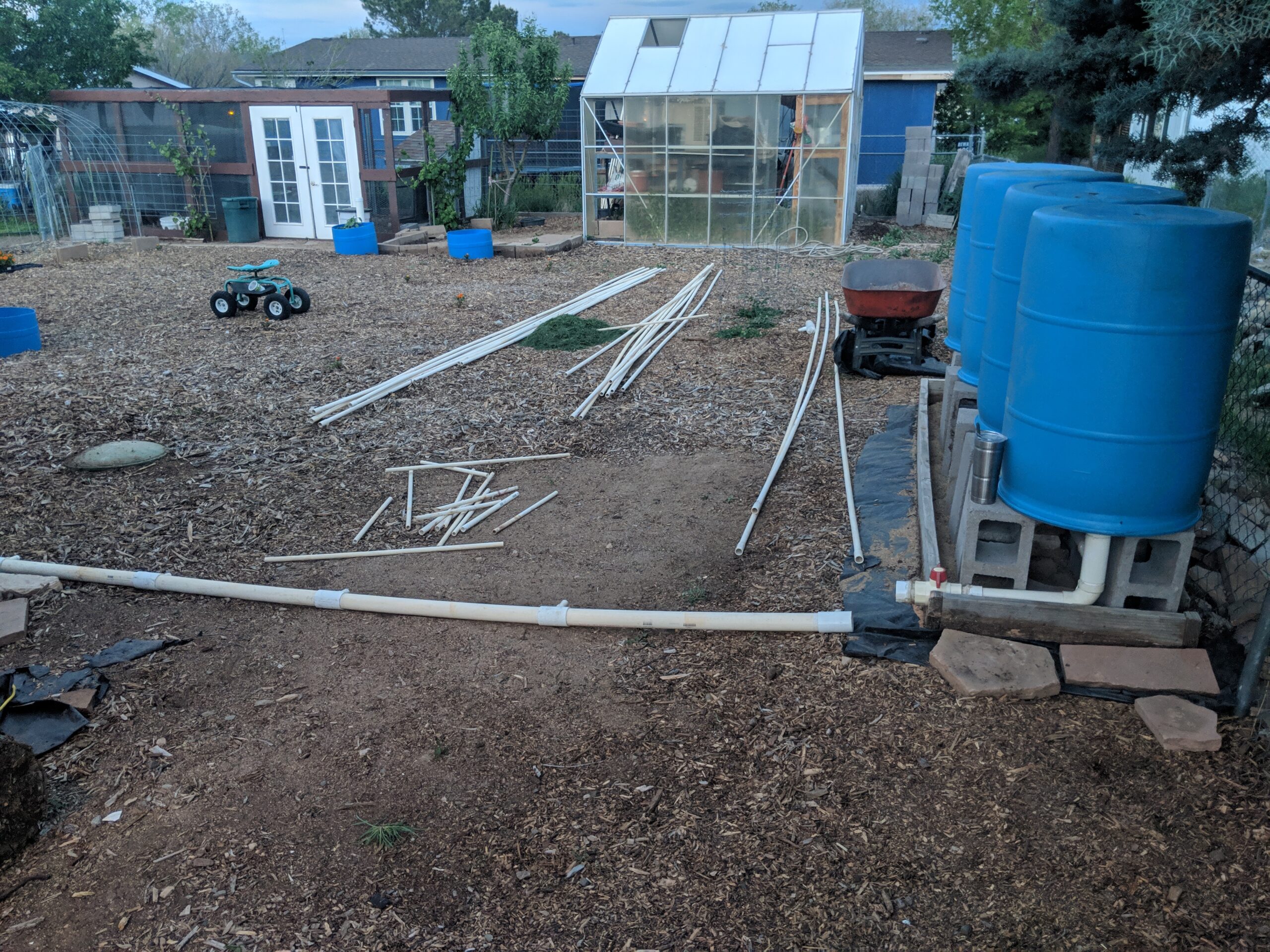 Gravity Watering System Barrels and 2 inch pipe