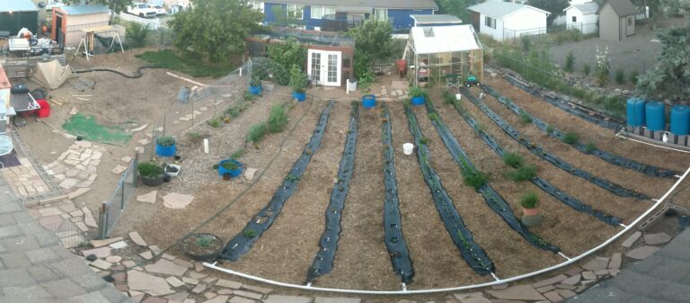 Garden Watering System