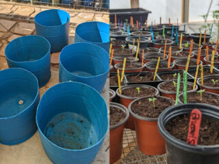 Garden Pots