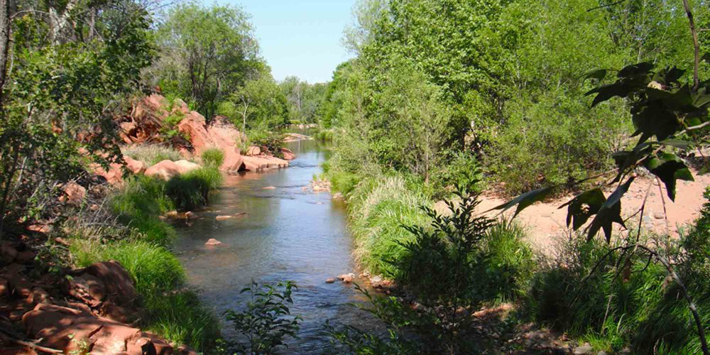 Cornville Arizona Yavapai County Foodscape Agricultural Community