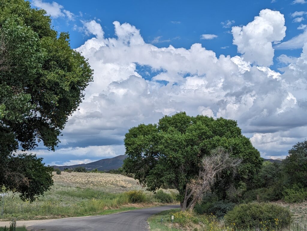 Dewey-Humboldt Yavapai County Foodscape Agricultural Community