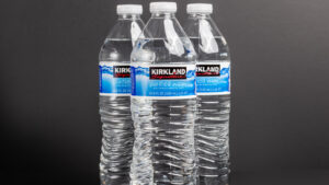 Kirkland Water Bottle